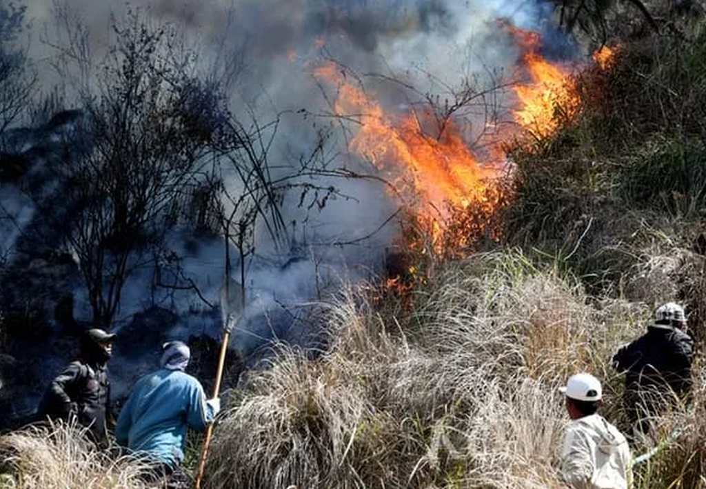 Kebakaran hutan dan lahan di kawasan Tahura Raden Soerjo melanda wilayah Mojokerto dan Pasuruan pada Oktober 2026.
