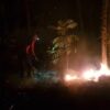 Dikepung Titik Api di Argopuro, Petugas Karhutla Harus Mundur ke Lokasi Aman