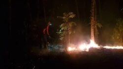 Dikepung Titik Api di Argopuro, Petugas Karhutla Harus Mundur ke Lokasi Aman