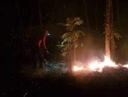 Dikepung Titik Api di Argopuro, Petugas Karhutla Harus Mundur ke Lokasi Aman