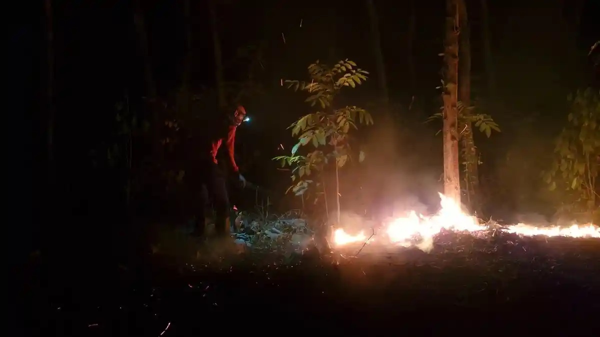 Dikepung Titik Api di Argopuro, Petugas Karhutla Harus Mundur ke Lokasi Aman