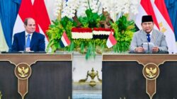 Indonesia-Mesir Bidik Perdagangan US$5 Miliar, Hilirisasi Jadi Andalan