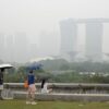 7 Perusahaan di Indonesia Disurati Singapura Terkait Karhutla, Ini Daftarnya