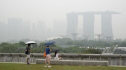 7 Perusahaan di Indonesia Disurati Singapura Terkait Karhutla, Ini Daftarnya