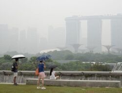 7 Perusahaan di Indonesia Disurati Singapura Terkait Karhutla, Ini Daftarnya