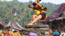 Mengenal Fahombo, Tradisi Lompat Batu Nias yang Menyimpan Sejarah Peperangan